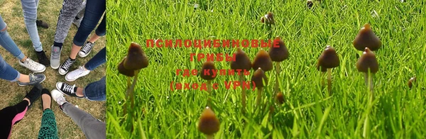 метадон Михайловск