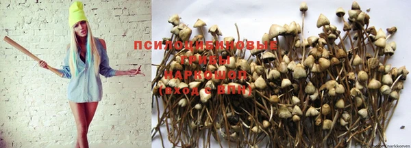 спайс Майский