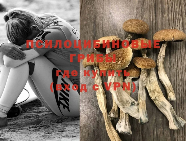 мдпв Лиски