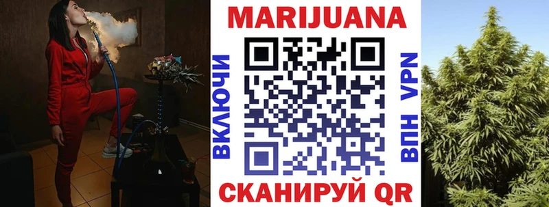 Купить где  Анжеро-Судженск  Бошки марихуана сатива 